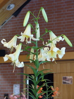 Foto: Dr. Peter Müller